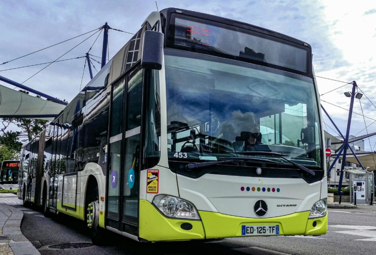 IMG 20210811 172333 2 768x522